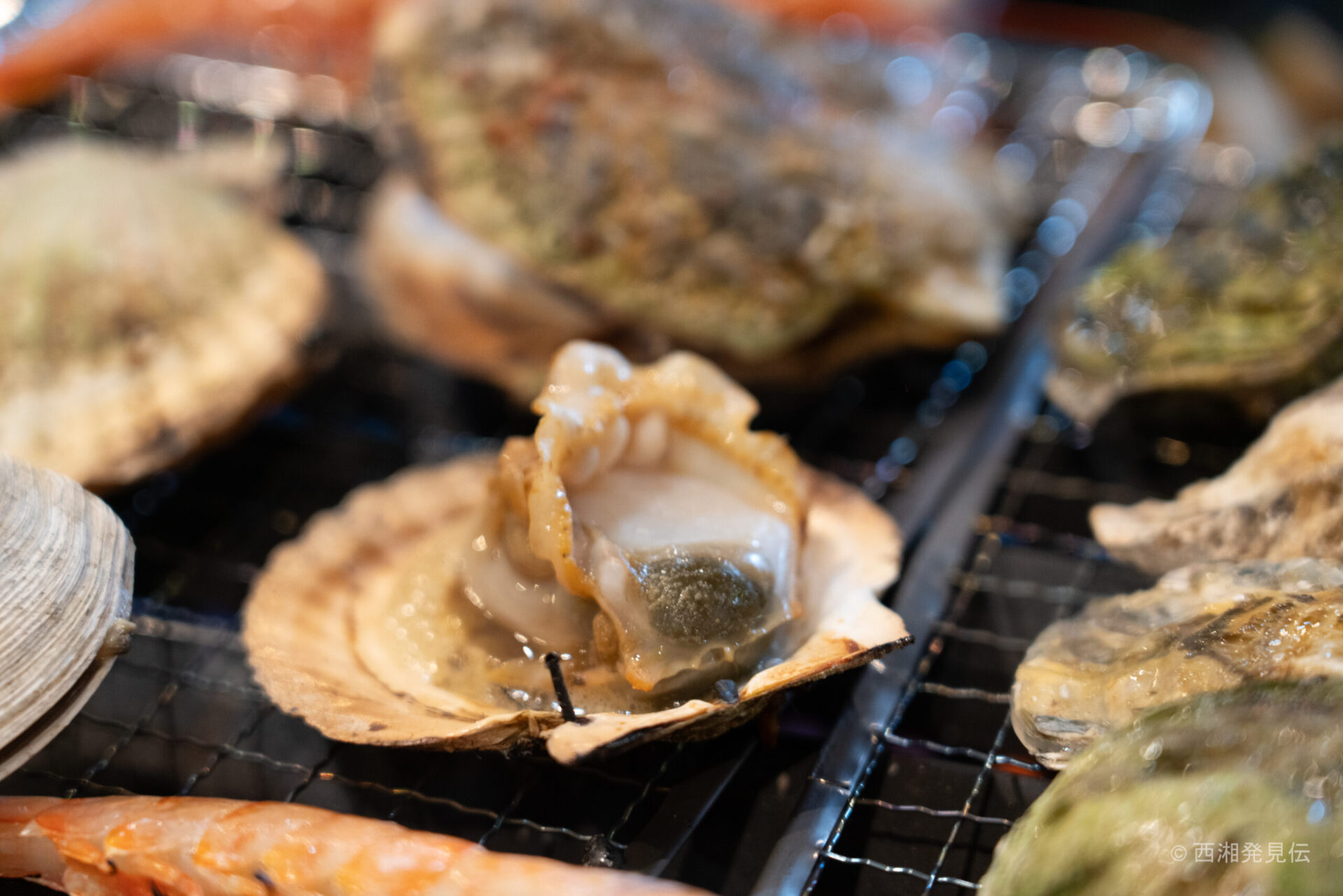 ちがさき俱楽部は海鮮や浜焼きが80分食べ放題のお店です。貝の焼き物は素晴らしいです。